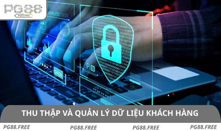 Thu thập cộng thêm việc quản lý thông tin khách hàng